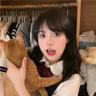 宝石宠物 国语版